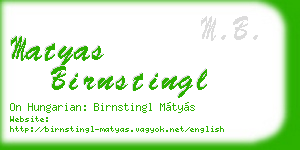 matyas birnstingl business card
